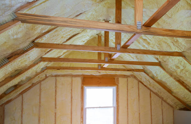 Best Attic Insulation Installation  in Lake Park, IA