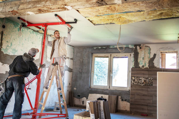 Best Home Insulation Services  in Lake Park, IA