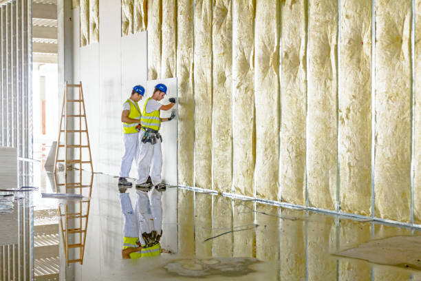 Best Insulation Contractors for Homes  in Lake Park, IA